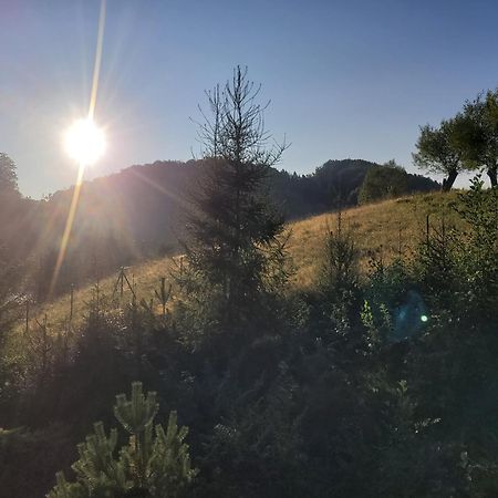 Forest Camp Dom W Gorach Sowich Michalkowa 외부 사진