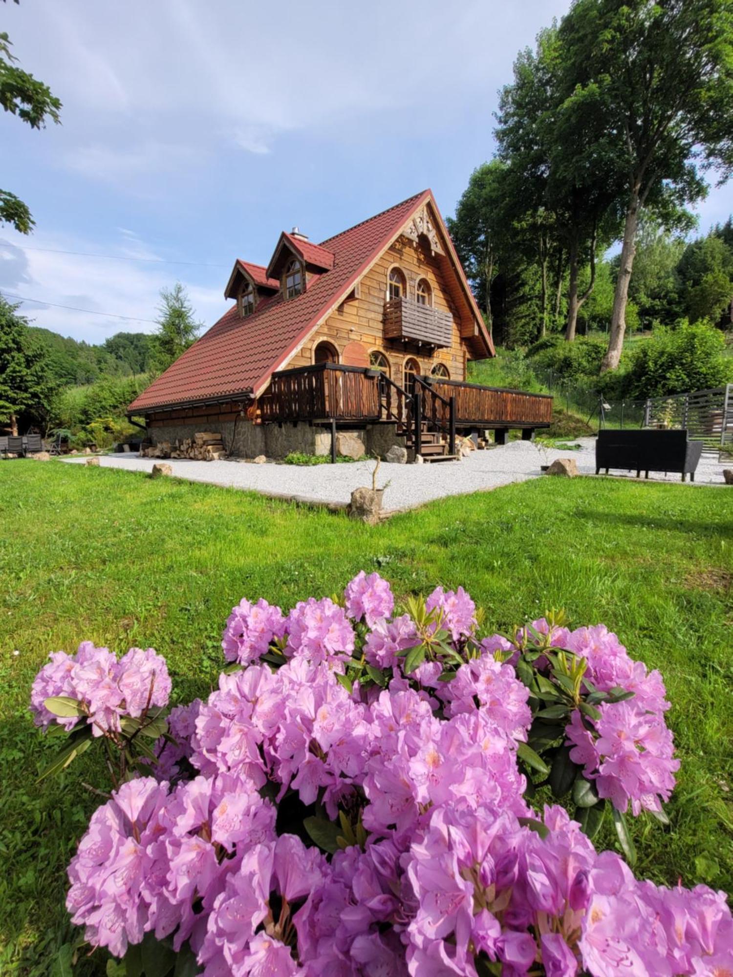 Forest Camp Dom W Gorach Sowich Michalkowa 외부 사진